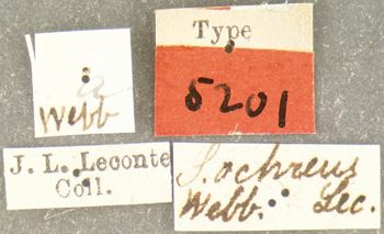 Media type: image;   Entomology 5201 Aspect: labels